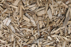 biomass boilers Woodnook